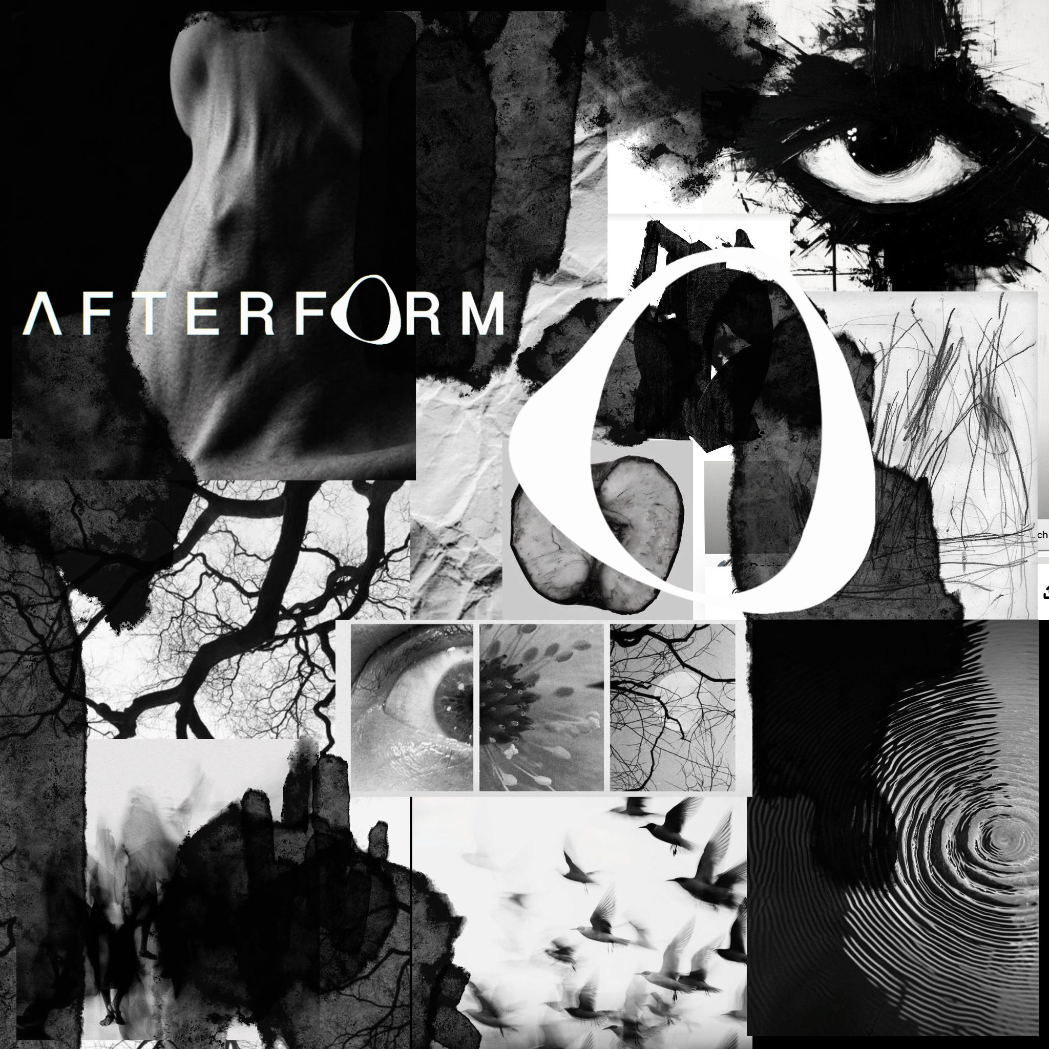 AFTERFORM campaign and process archive composition.